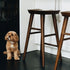 fuji-Barstool-deep-Oak