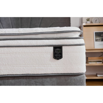 Dream Plush Mattress-Queen