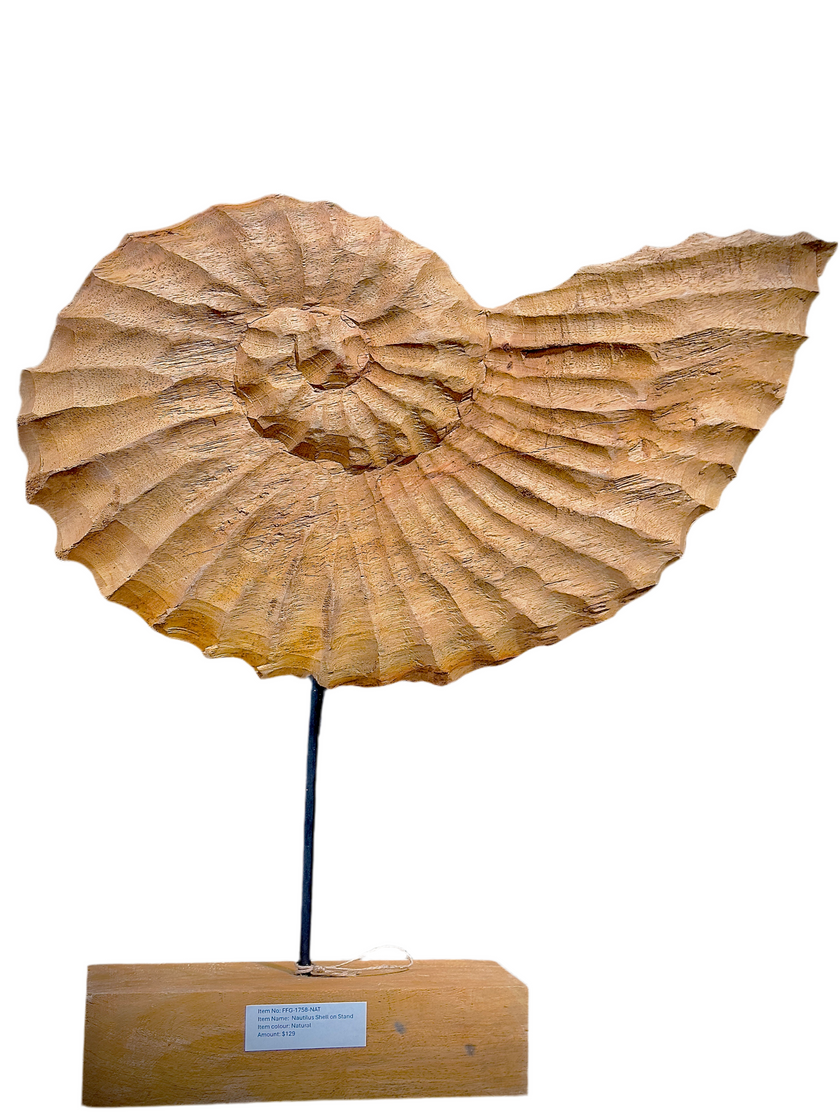 Nautilus Shell on Stand