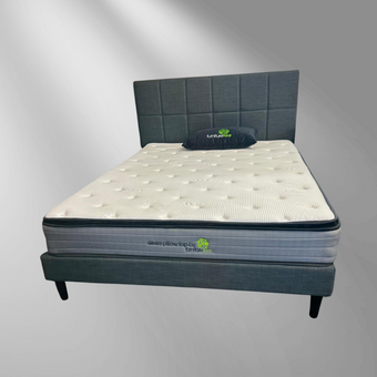 Arizona Bed with Siesta Pillow Top Mattress-Queen