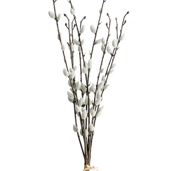 Willow P Branch 1.16m