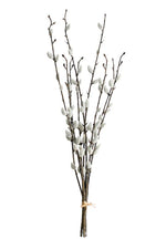Willow P Branch 1.16m