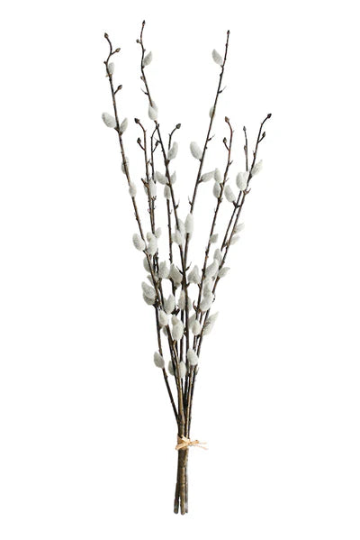 Willow P Branch 1.16m