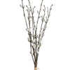 Willow P Branch 1.16m