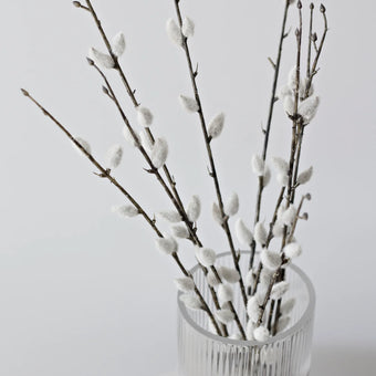 Willow P Branch 1.16m