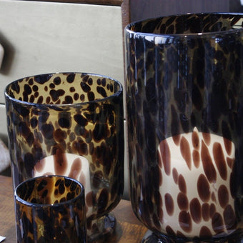 Tortoiseshell Hurricane Large