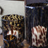 Tortoiseshell Hurricane Large