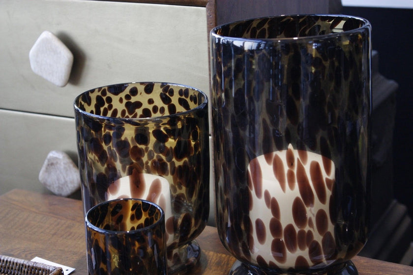Tortoiseshell Hurricane Large