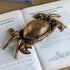 Crab Decorative Box with Lid