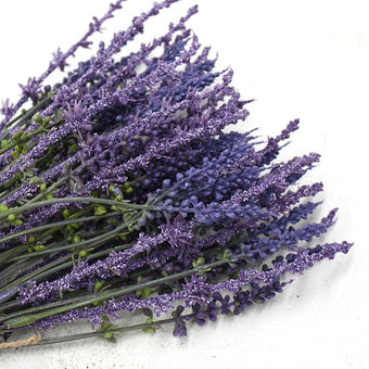 Lavender Bundle 38cm