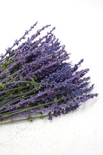 Lavender Bundle 38cm