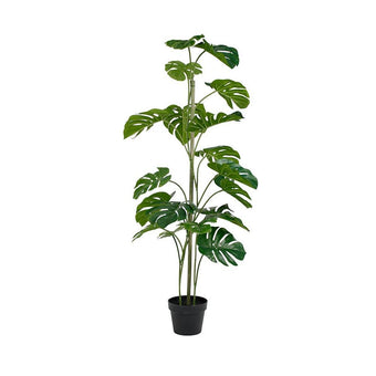 Monstera Potted w/Pole 1.2m