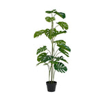 Monstera Potted w/Pole 1.2m
