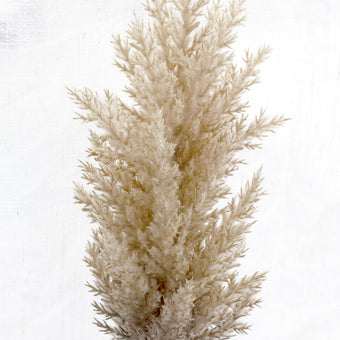 Dried-Look Astilbe Spray 86cm Brown
