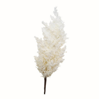 Dried-Look Astilbe Spray 86cm Cream