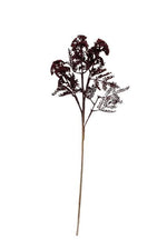 Wild Flower wIvs Spray Burgundy 72cm