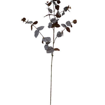 Large Eucalyptus Spray Brown 86cm