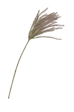 Common Reed Grass 81cm Spray