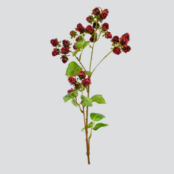 Mulberry Spray 78cm