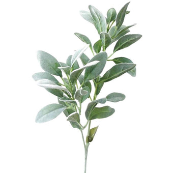 Lambs Ear Long Stem 71cm