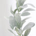 Lambs Ear Long Stem 71cm
