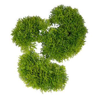 Moss Shaped Assorted Set/3