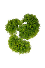 Moss Shaped Assorted Set/3