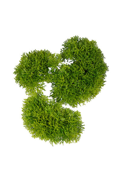 Moss Shaped Assorted Set/3