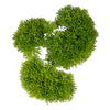 Moss Shaped Assorted Set/3