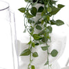 Jade Satin Scindapsus potted Hanging