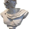Greek David Venus Statue