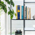 DECO Display/Bookcase Black Oak