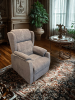 The Snugspot Recliner Lift up Chair(Dual Motor)
