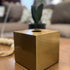 Luxe Square Tissue Box