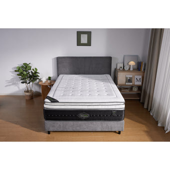 Dream Platinum Mattress-Queen