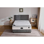 Dream Plush Mattress-King