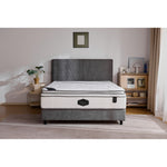 Dream Plush Mattress-Queen