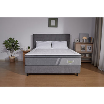Dallas King Bed and Mattress - Special Deal